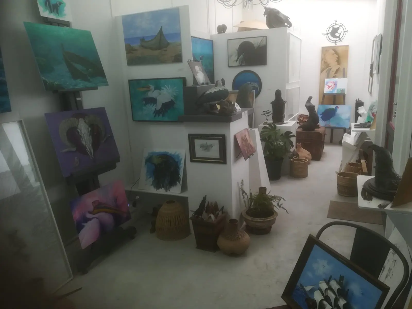 IMG-20260713-WA0019